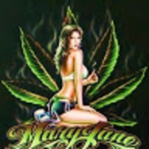 Meet your Posher, Johnnie